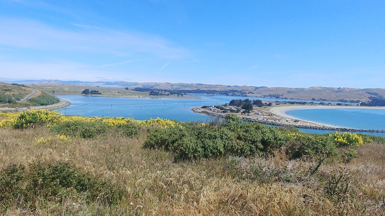Photo of Others in Bodega Bay