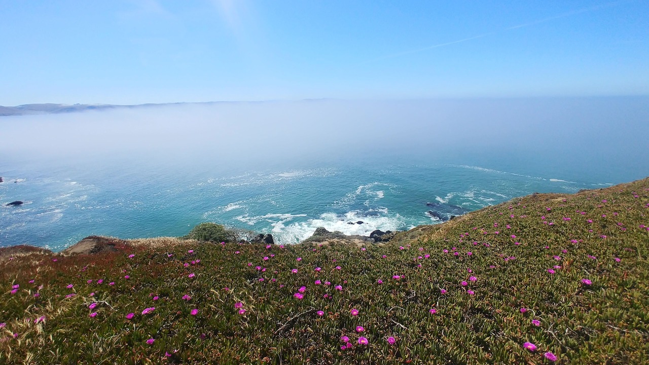 Photo of Others in Bodega Bay