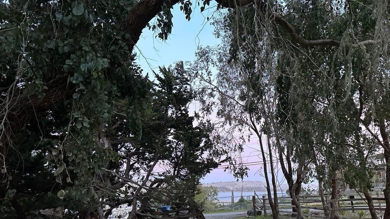 Photo of Others in Bodega Bay