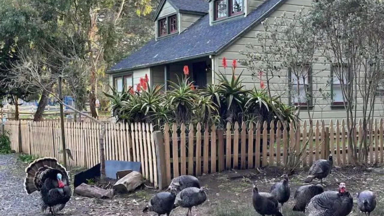 Photo of Others in Bodega Bay
