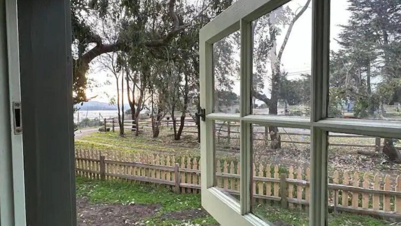 Photo of Others in Bodega Bay