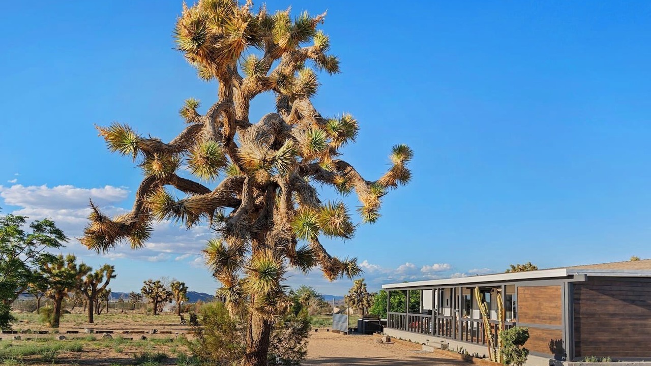Photo of Others in Yucca Valley