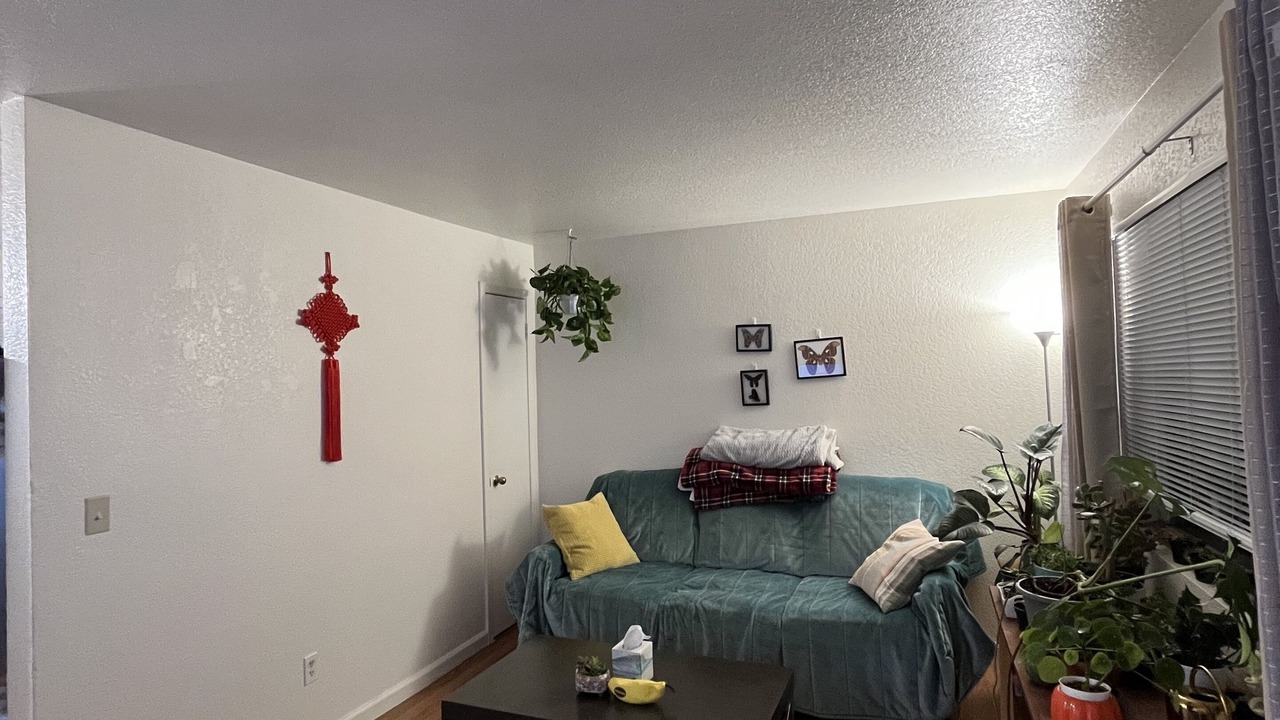 Photo of Livingroom in Reno