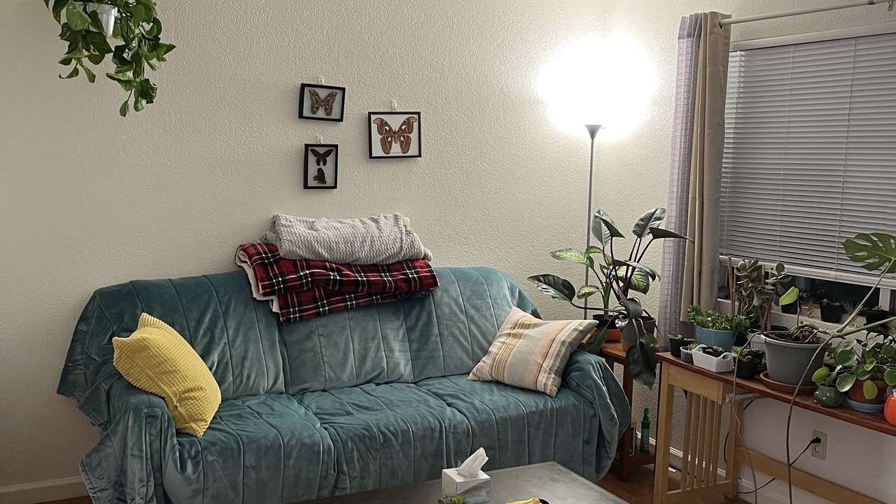 Photo of Livingroom in Reno