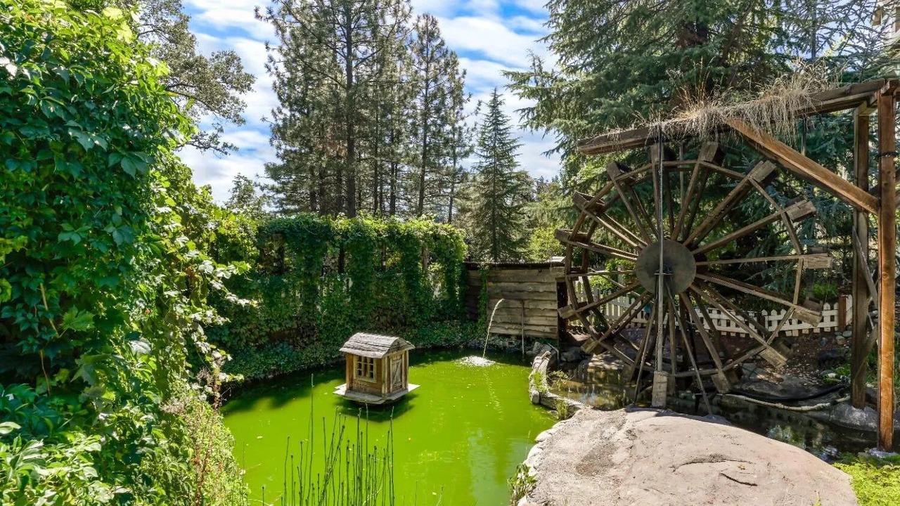 Photo of Outdoor in Foresthill