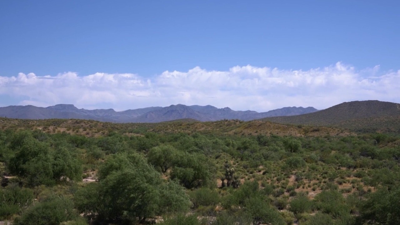 Photo of Others in Wickenburg