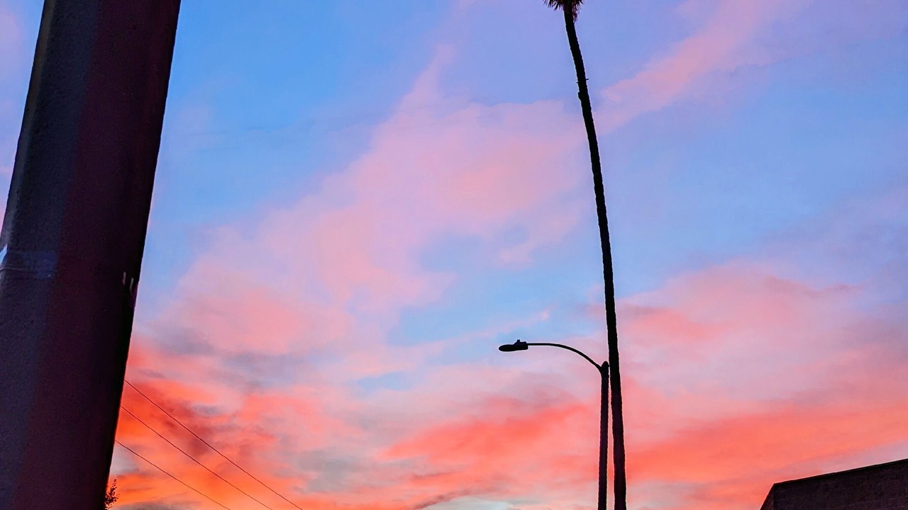 Photo of Others in Los Angeles
