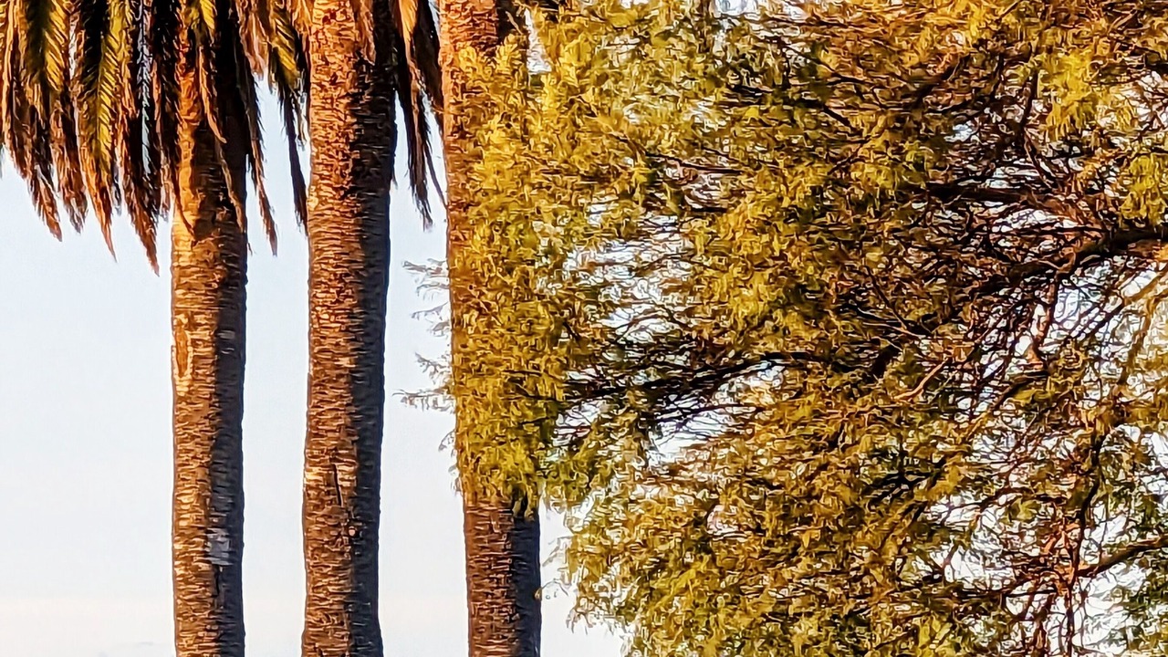 Photo of Outdoor in Los Angeles