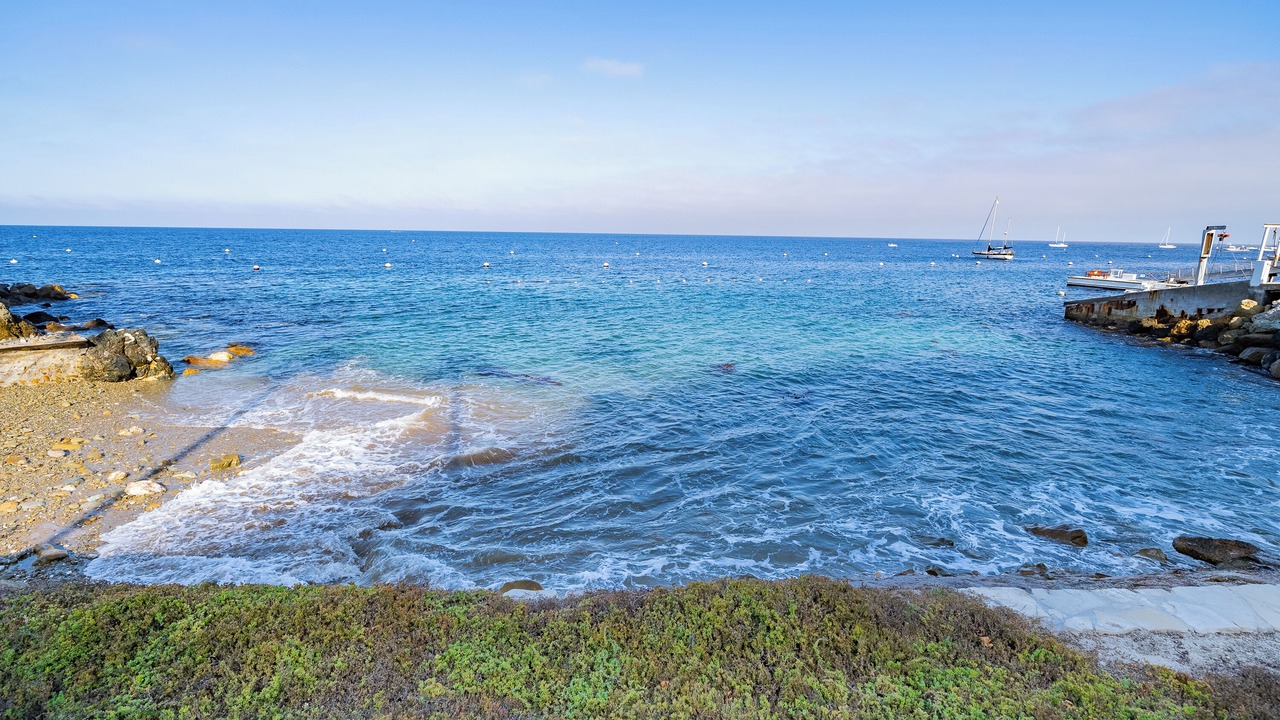 Photo of Others in Catalina Island