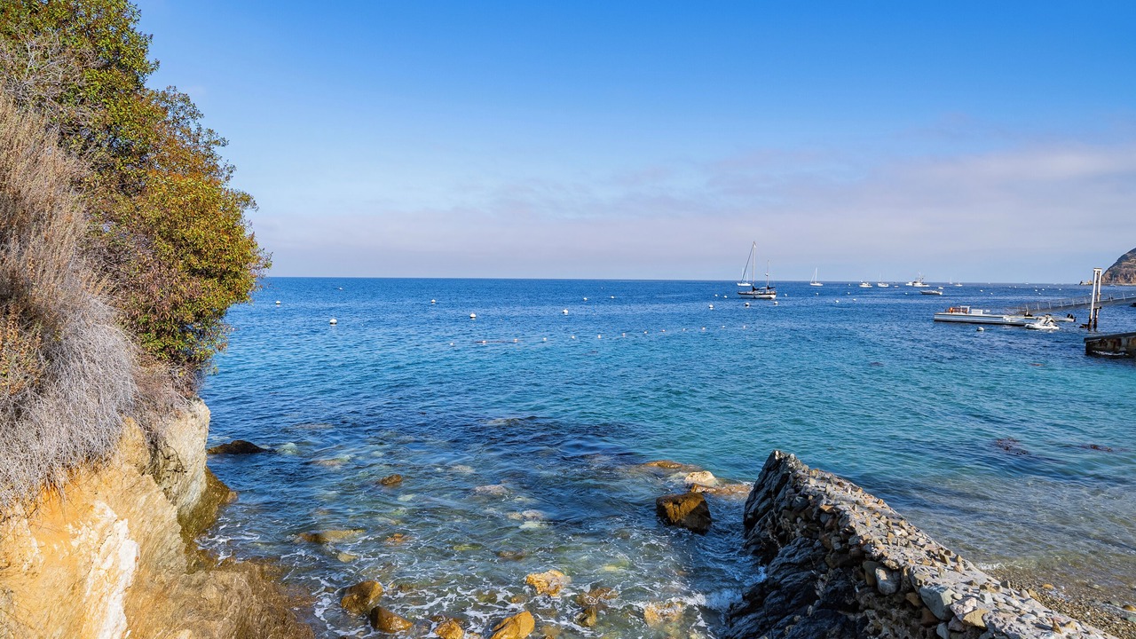 Photo of Others in Catalina Island