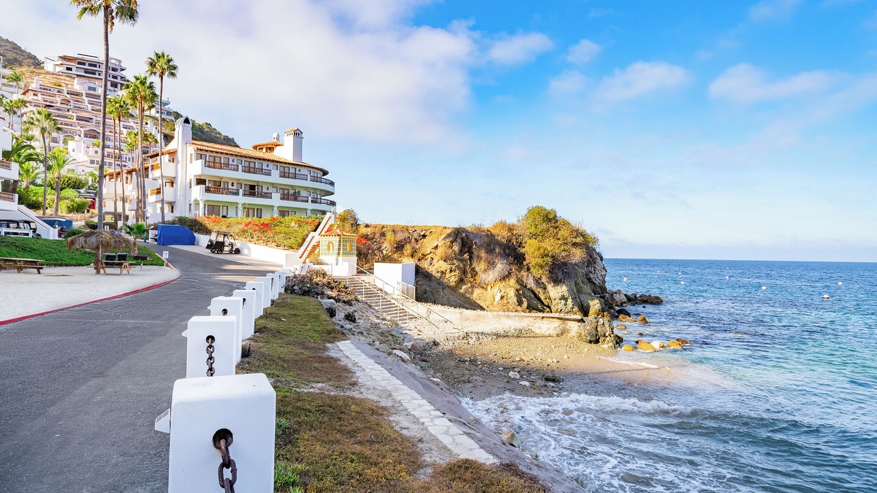 Photo of Others in Catalina Island