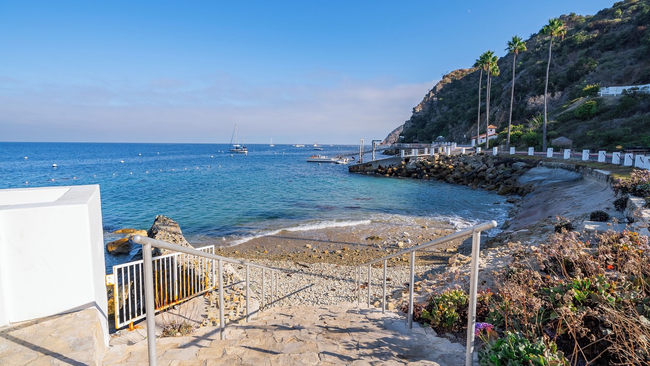 Photo of Others in Catalina Island