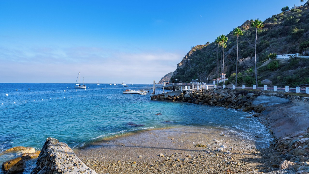 Photo of Others in Catalina Island