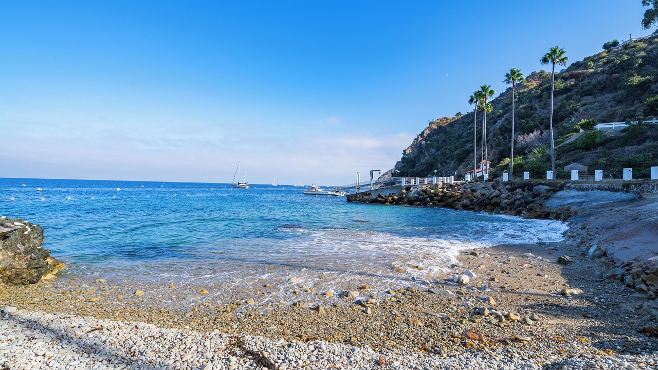 Photo of Others in Catalina Island