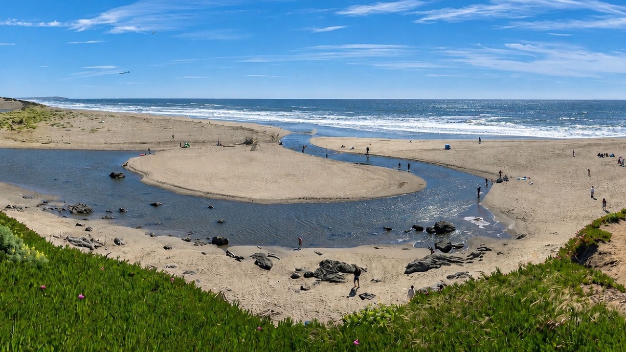 Photo of Others in Salmon Creek