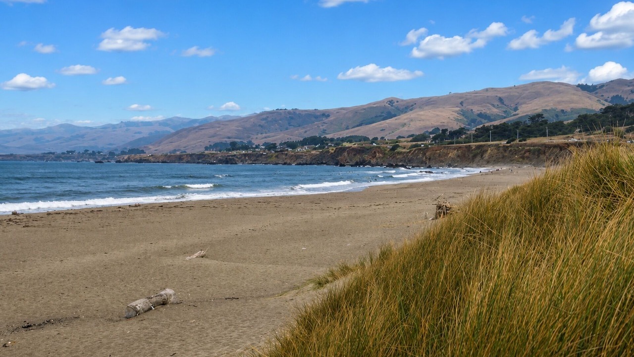 Photo of Others in Salmon Creek