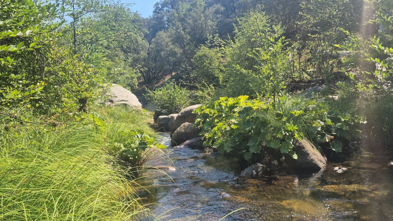 Photo of Others in North Fork