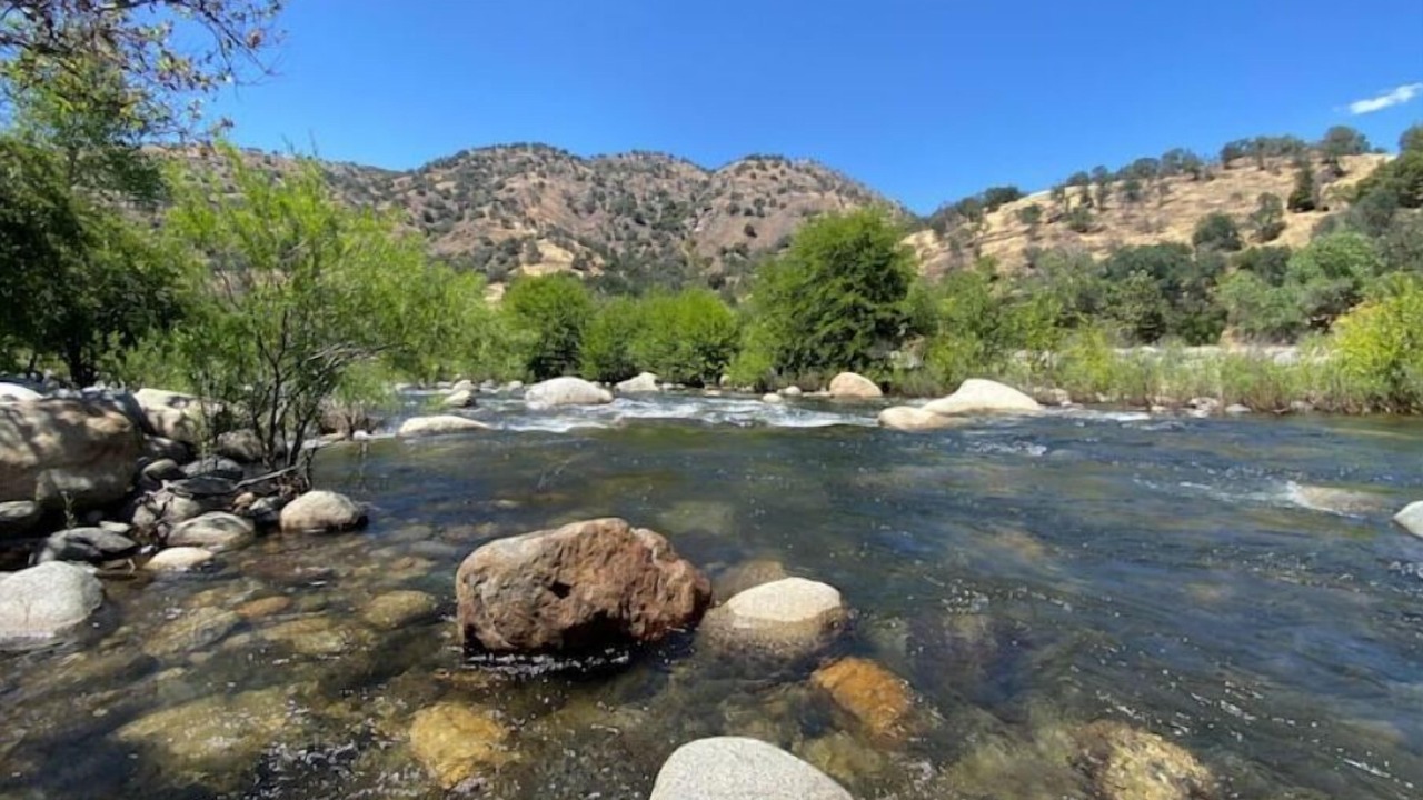 Photo of Others in Three Rivers