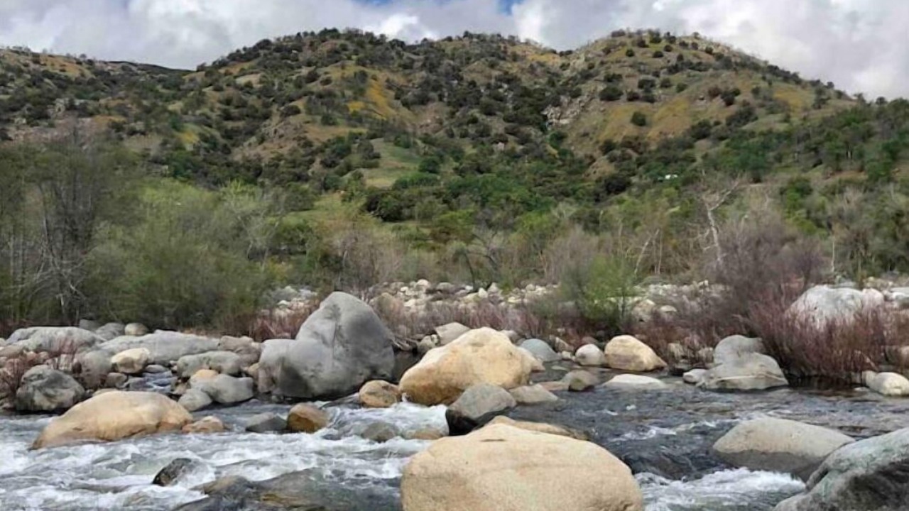 Photo of Outdoor in Three Rivers