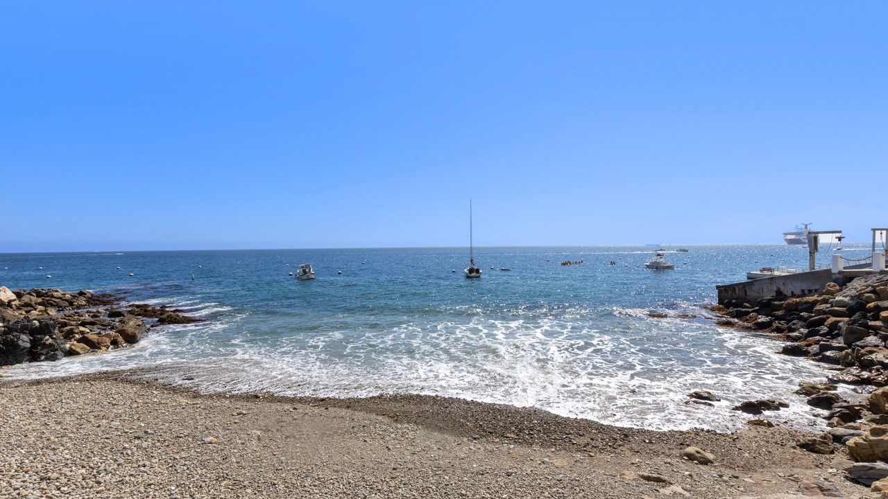 Photo of Others in Avalon