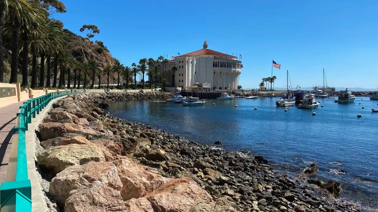 Photo of Others in Avalon