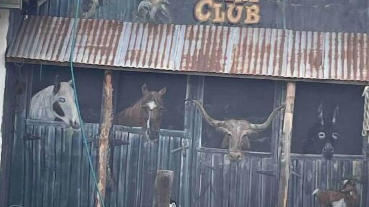 Photo of Others in Cornville