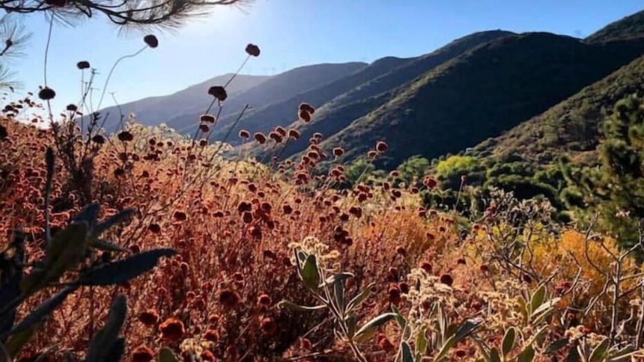 Photo of Others in Leona Valley