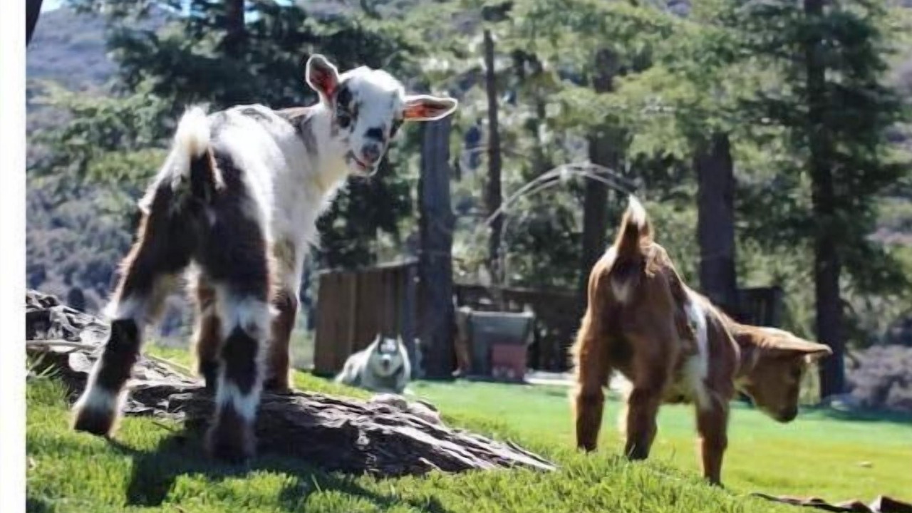 Photo of Outdoor in Leona Valley