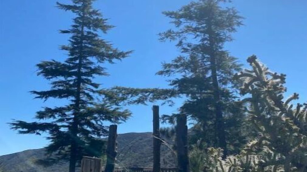 Photo of Outdoor in Leona Valley