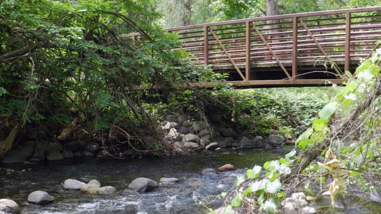 Photo of Outdoor in Chico