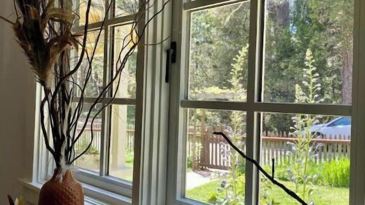 Photo of Others in Nevada City