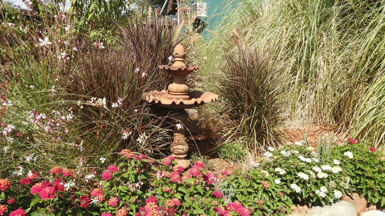 Photo of Outdoor in Douglas Flat