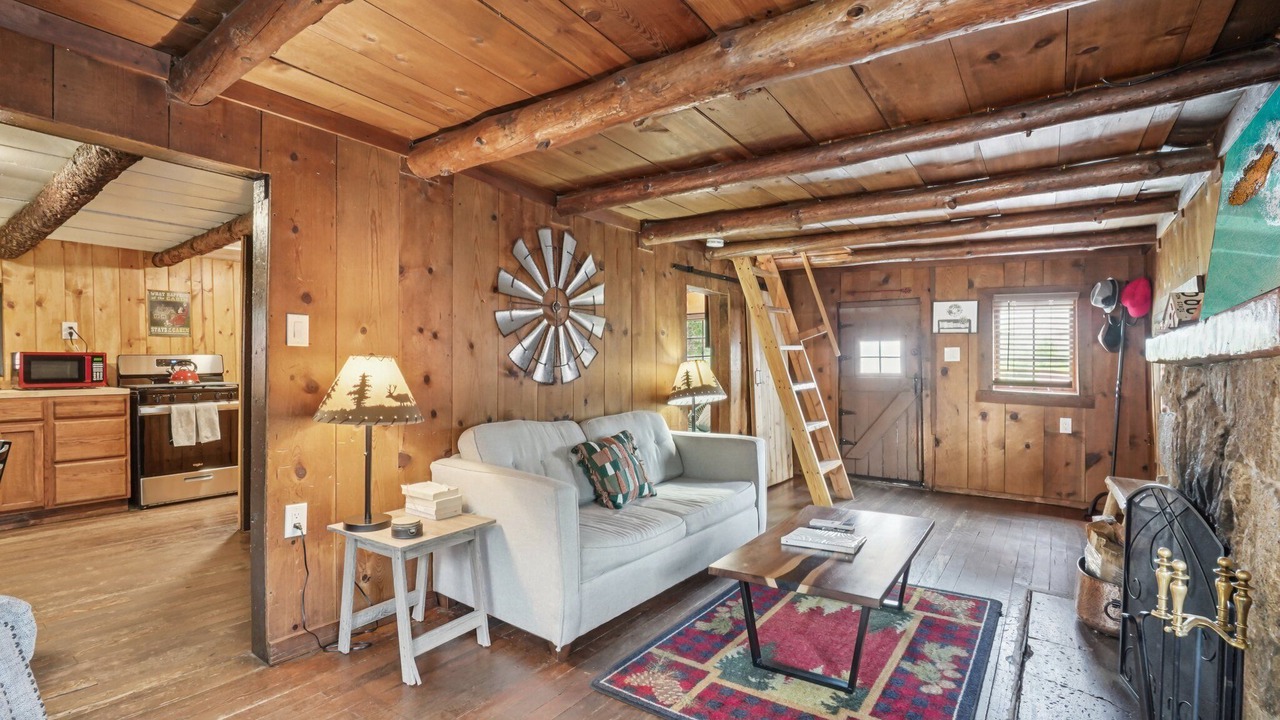 Photo of Livingroom in Idyllwild