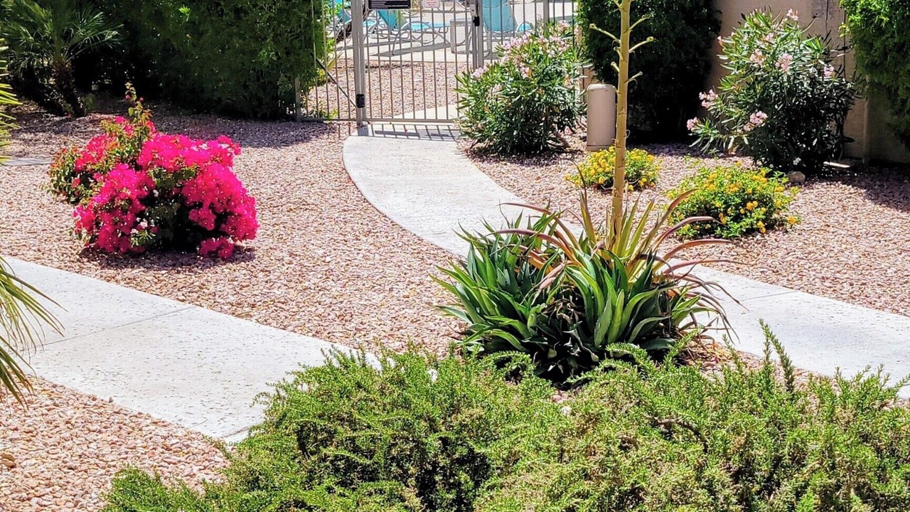 Photo of Outdoor in Foothills