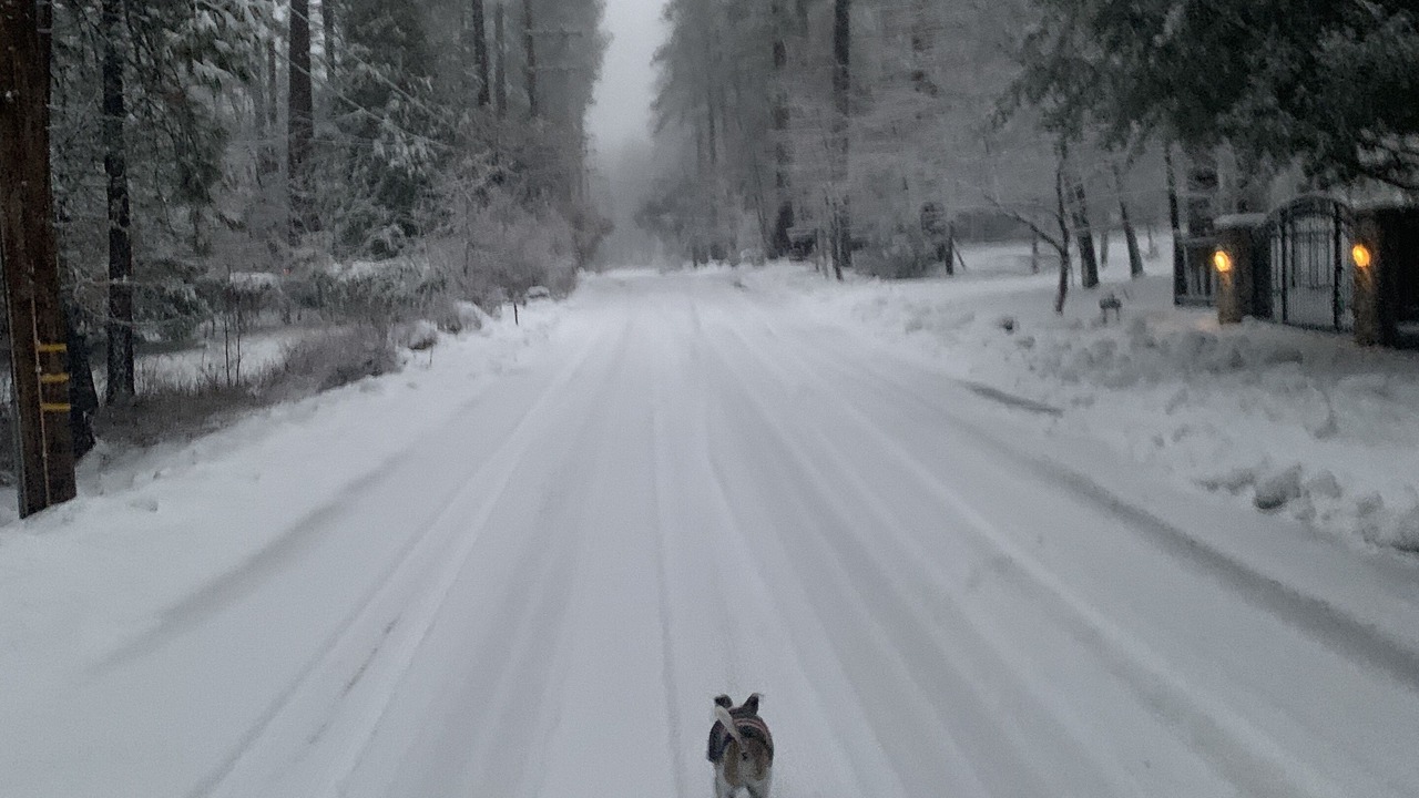 Photo of Others in Idyllwild