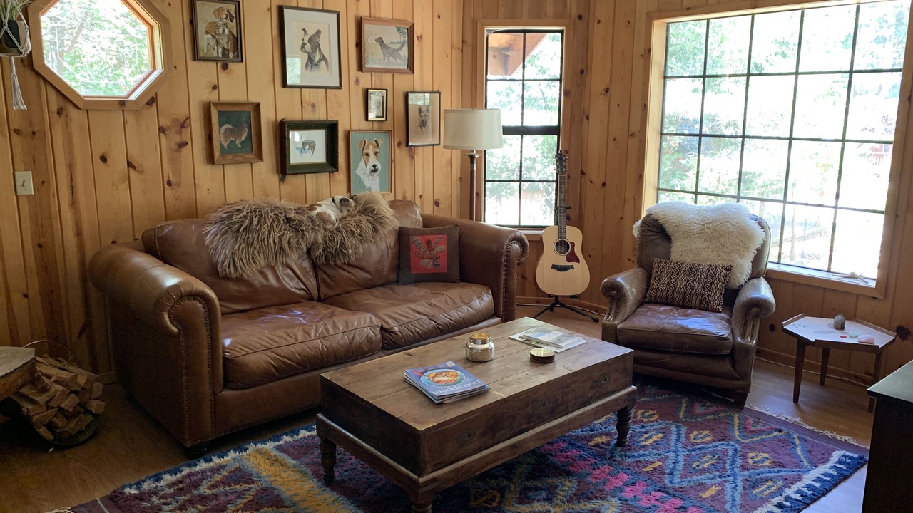 Photo of Livingroom in Idyllwild