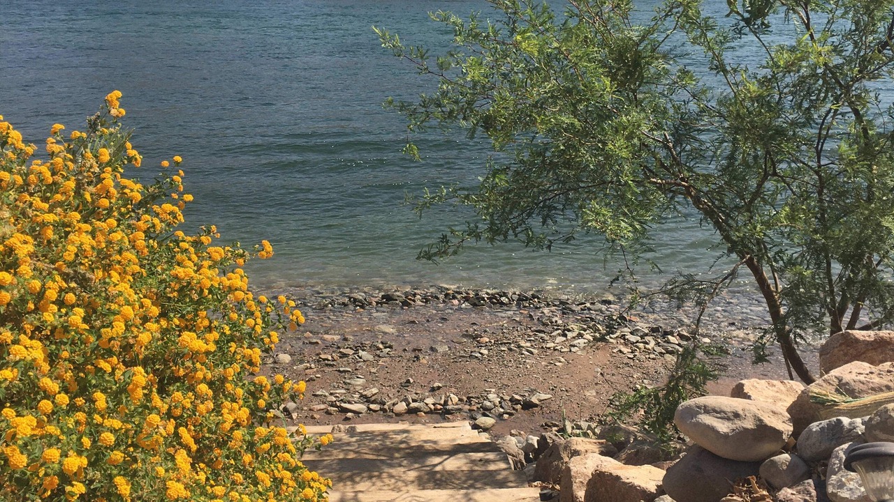 Photo of Others in Parker Dam