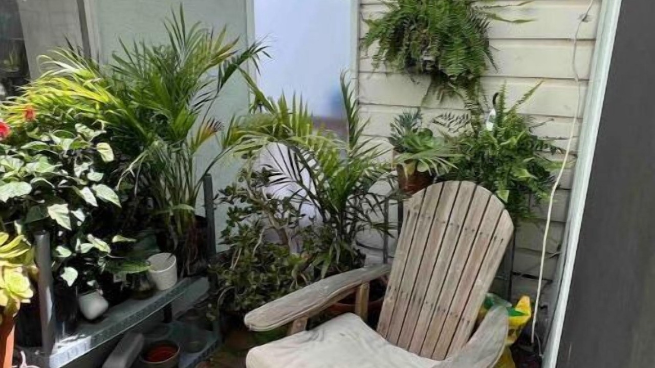 Photo of Patio Balcony in Dolores Heights