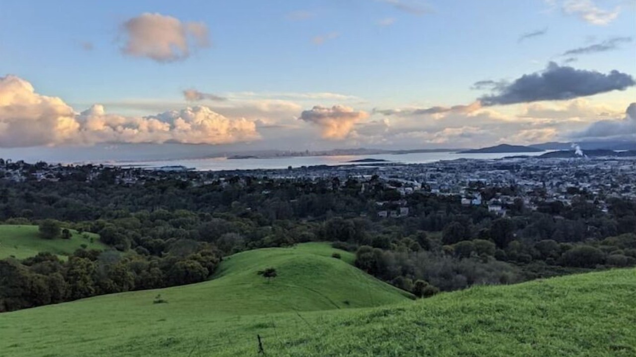 Photo of Others in El Sobrante