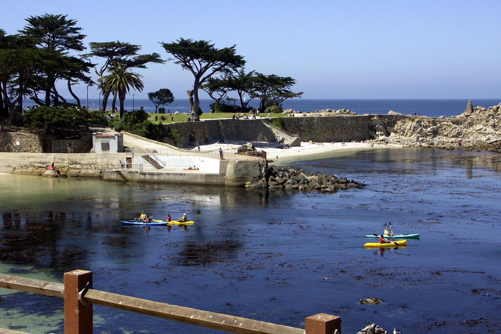 Photo of Others in Pacific Grove