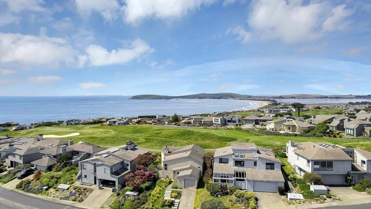 Photo of Others in Bodega Bay