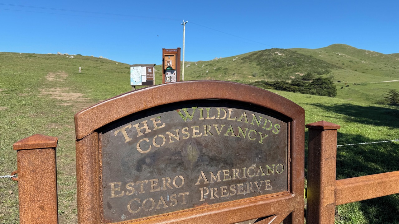 Photo of Outdoor in Bodega Bay