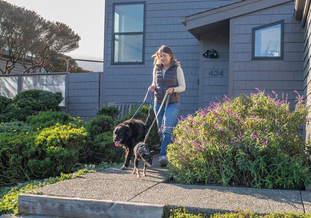 Photo of Outdoor in Bodega Bay