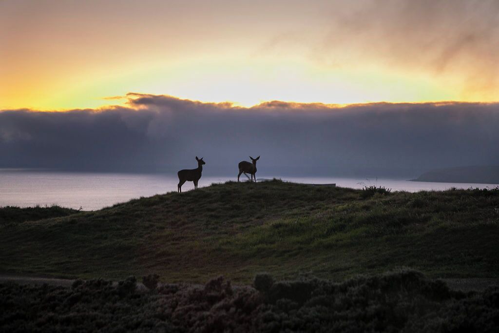 Photo of Outdoor in Bodega Bay