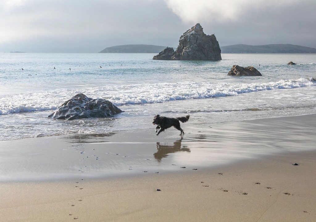 Photo of Outdoor in Bodega Bay
