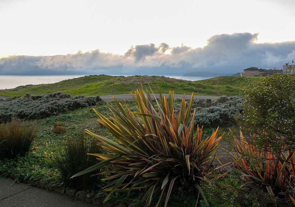 Photo of Outdoor in Bodega Bay