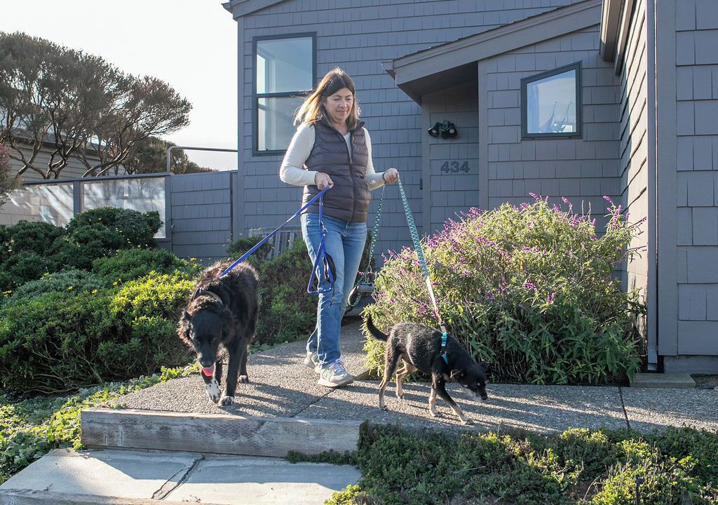 Photo of Outdoor in Bodega Bay