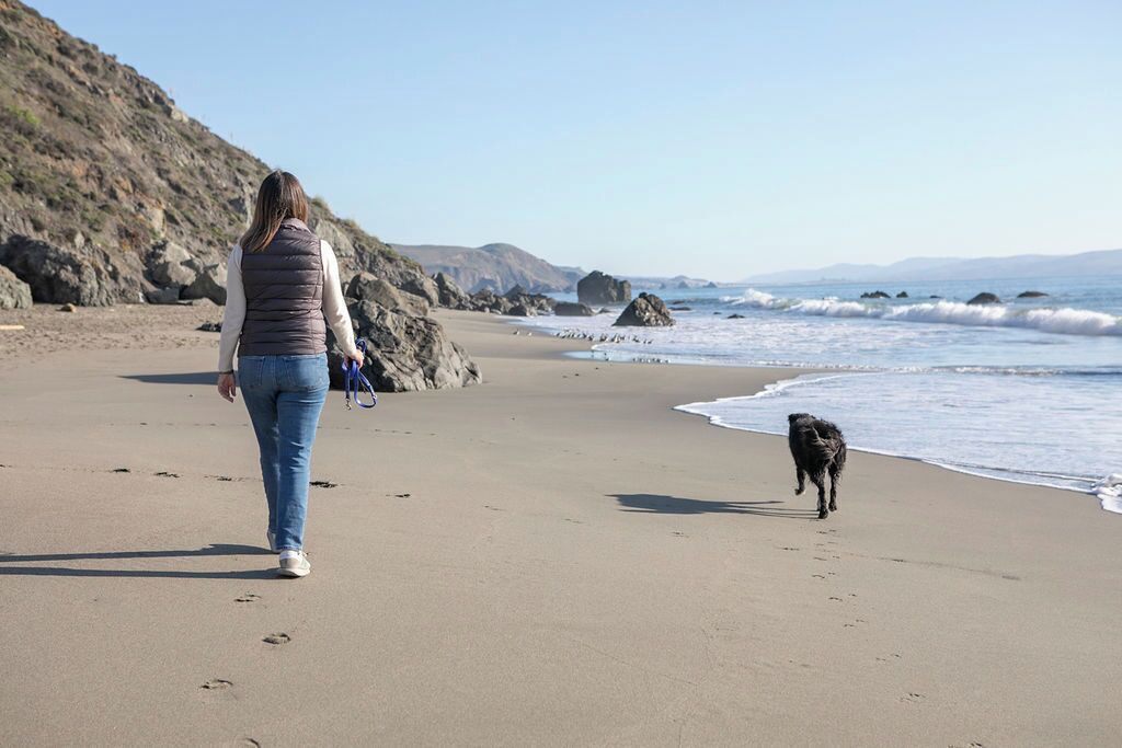 Photo of Outdoor in Bodega Bay