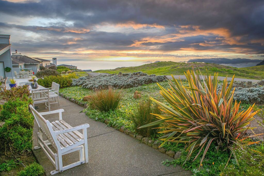 Photo of Outdoor in Bodega Bay