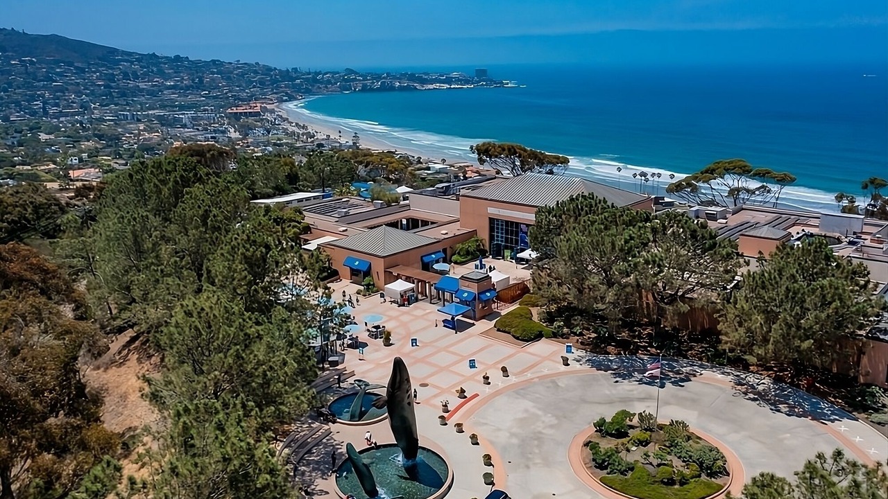 Photo of Others in Sorrento Valley